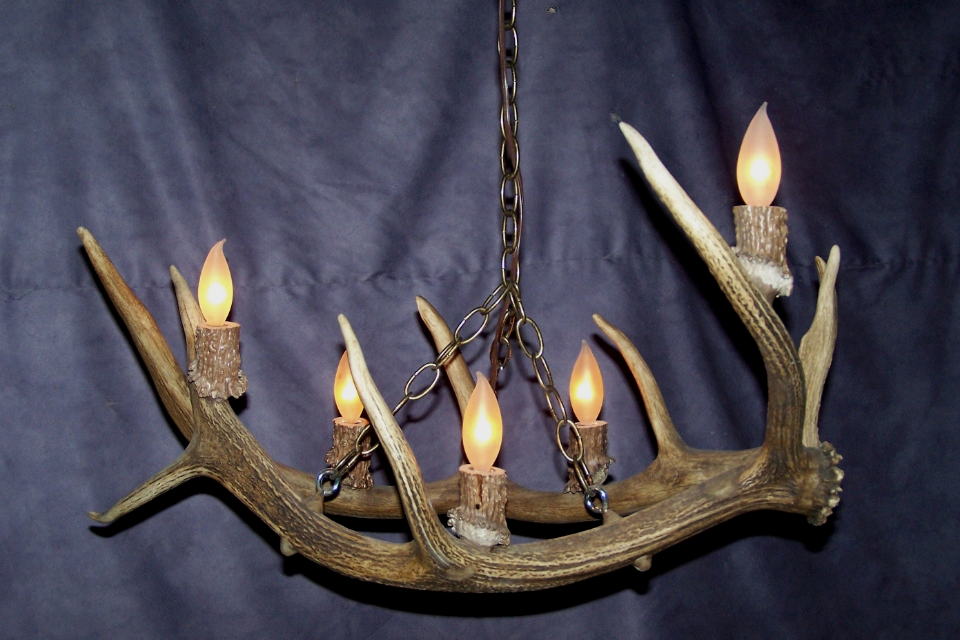 REAL ANTLER ELK CHANDELIER, 5 lights, LAMPS BY CDN SPECIAL